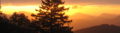 Sonnenaufgang Eisenstein Fichte Streifen.jpg