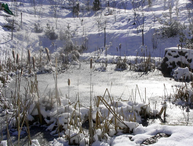 Datei:SH Winter -Südgartenteich.jpg